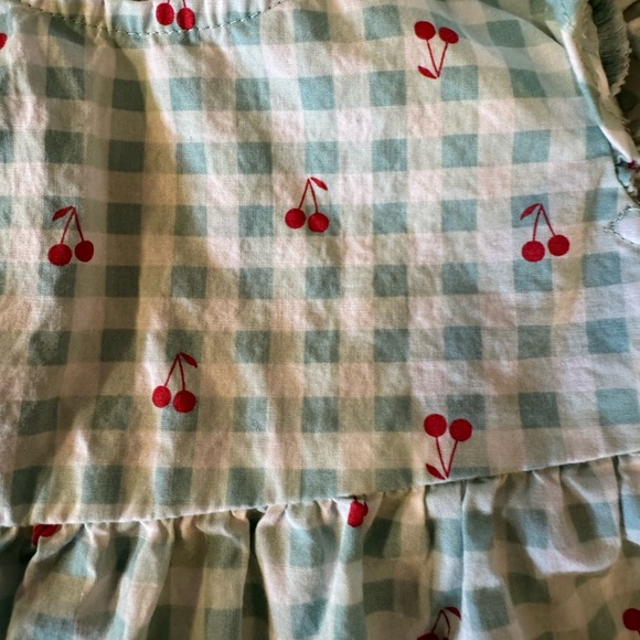 Carter's Green Gingham Cherry Diaper Cover Set - Picture 3 of 4